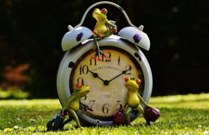 frogs ve saat